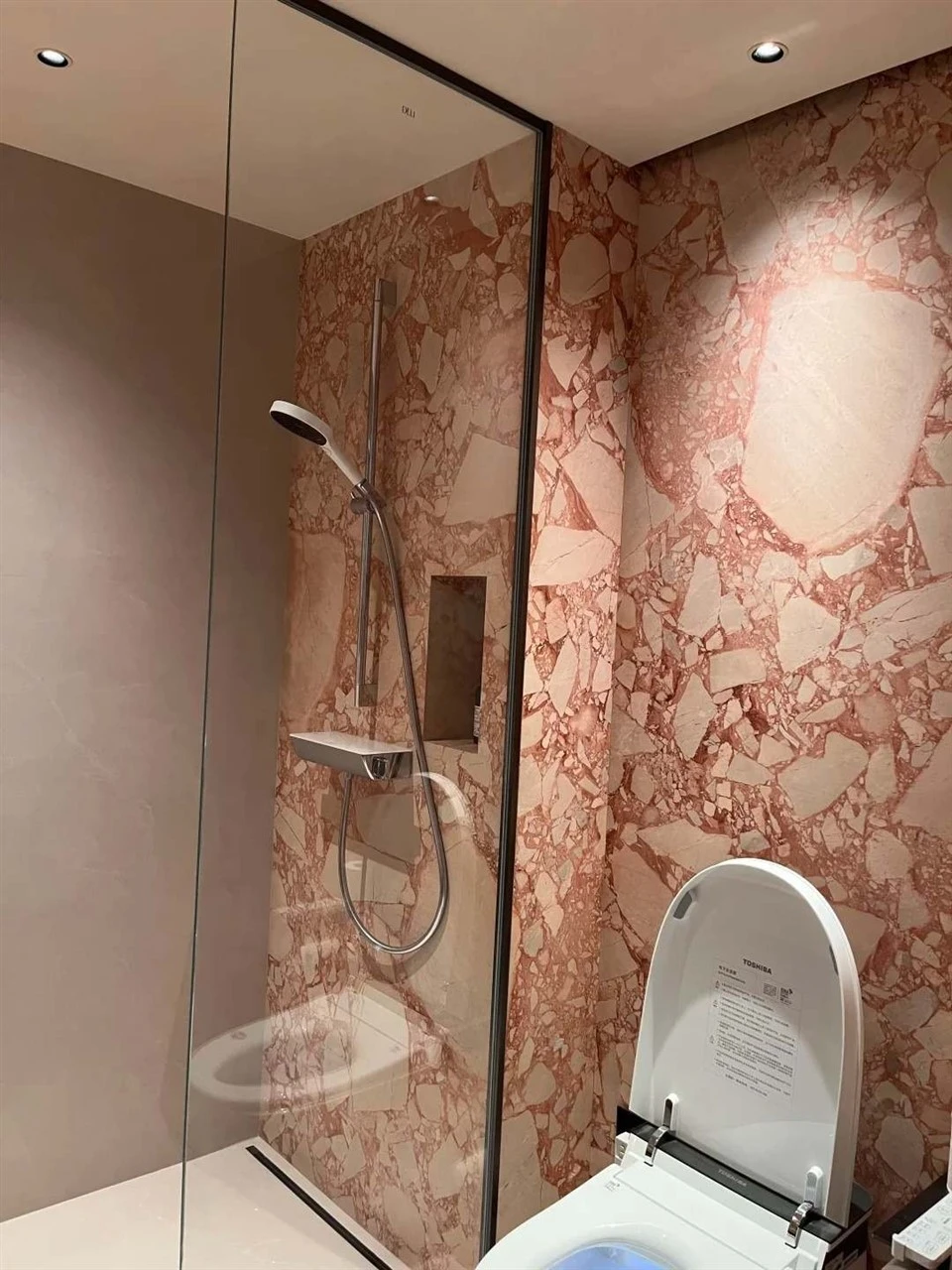 Breccia Pernice Marble (4)